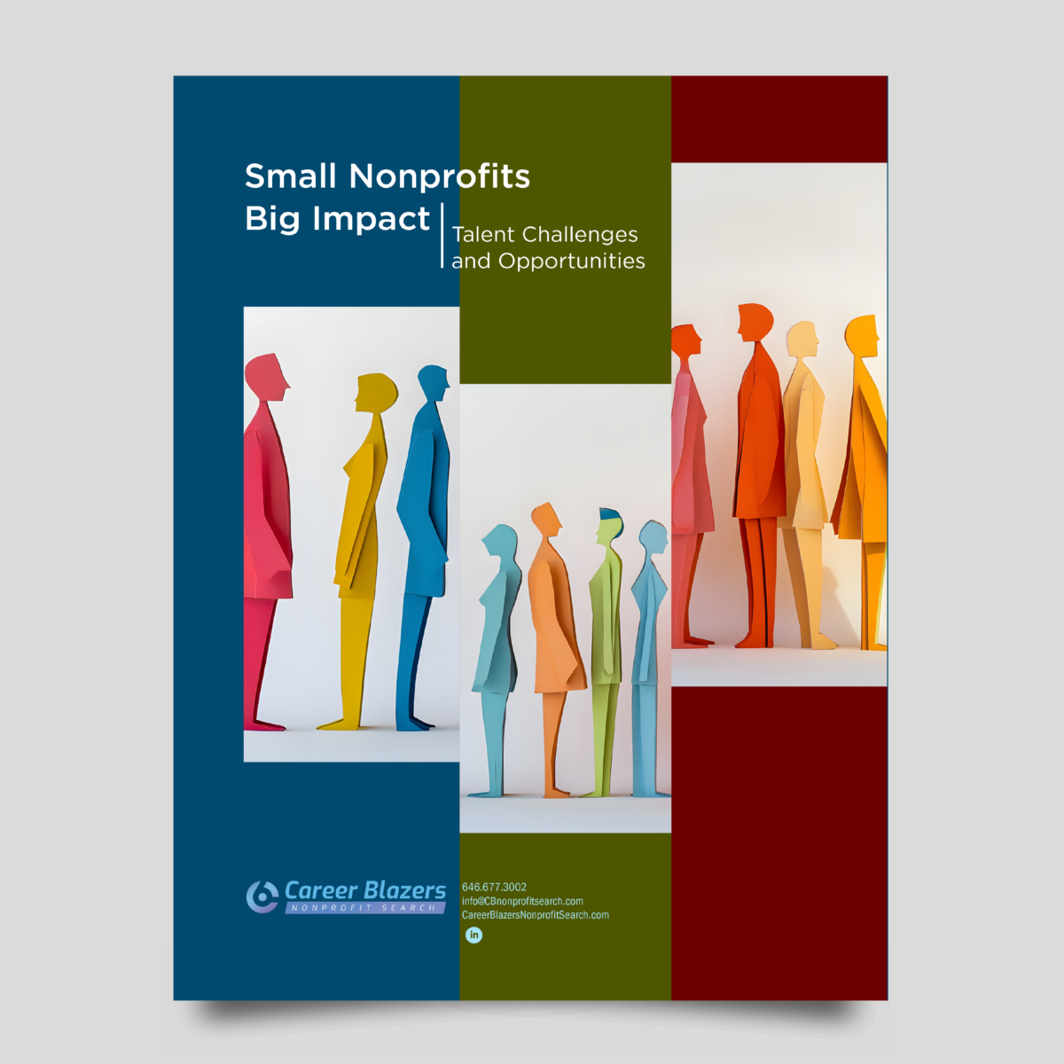 Salary reports career blazers nonprofit search
